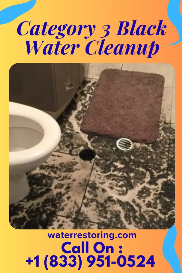Category 3 Black Water Cleanup in Excelsior Springs, MO