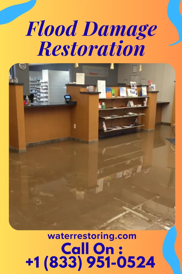 Flood Damage Restoration in Excelsior Springs, MO
