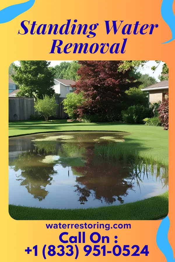 Standing Water Removal in Excelsior Springs, MO